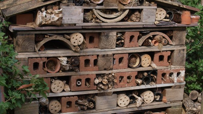 Bug Hotel